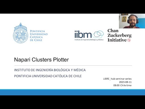 Napari clusters plotter
