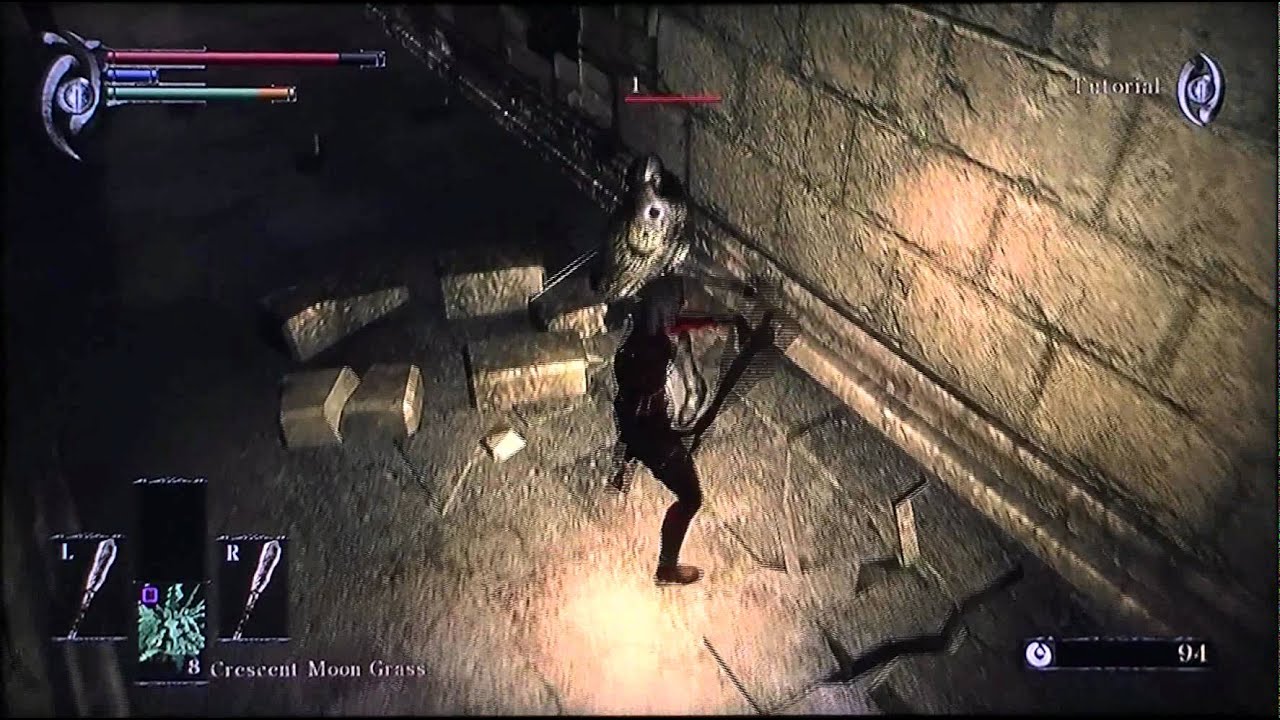 Demon's Souls Barbarian tutorial run YouTube