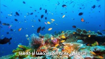 القارئ الشيخ أحمد العجمي سورة الاسراء الأيات ٢٣ - ٢٤