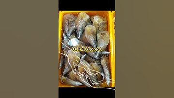 Hải sản ốc ân tại chợ bình điền