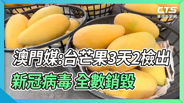 澳门媒:台芒果3天2检出新冠病毒 全数销毁｜华视新闻 20220703 - 天天要闻