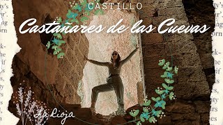 Castillo de Castañares de las Cuevas - La Rioja - Castilleando Parte VIII