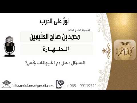 هل دم الحيوانات نجس للإمام ابن عثيمين رحمه الله قناة المعالي
