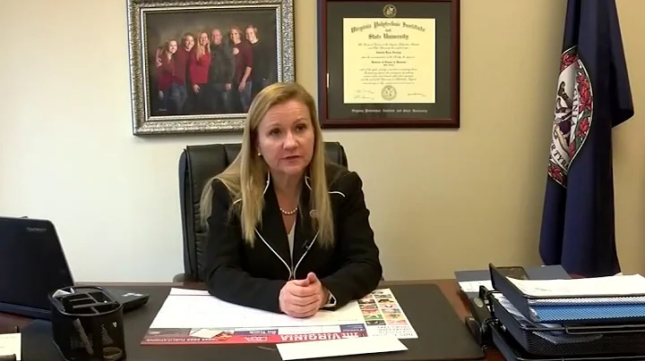 Amanda Chase censured by Virginia Senate