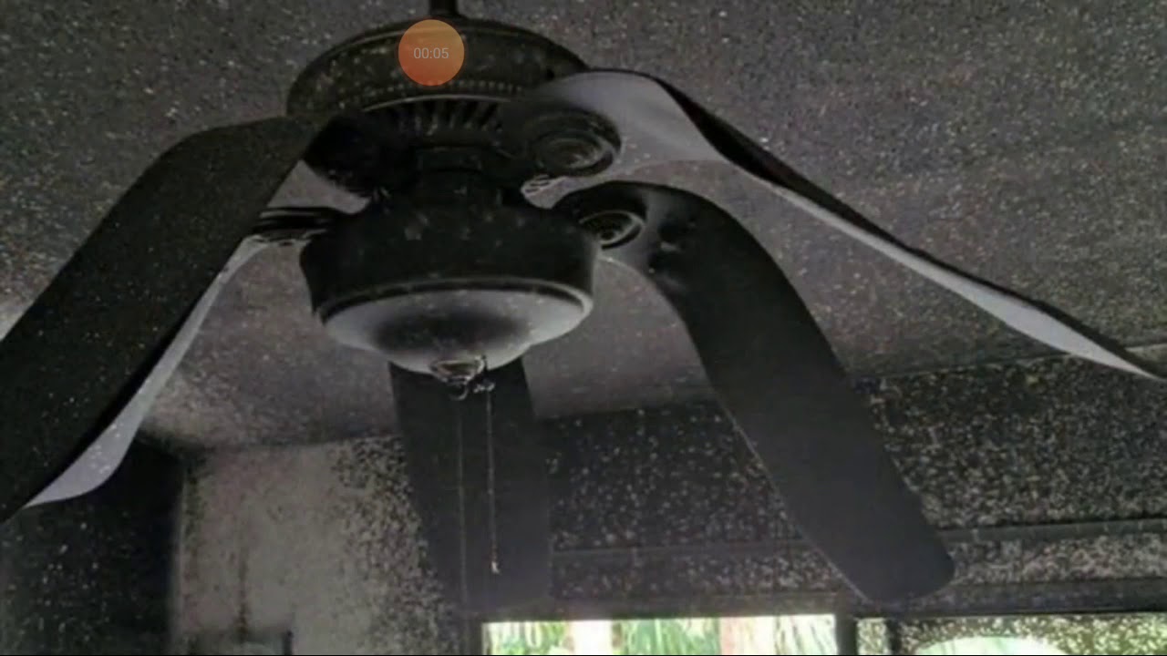burned ceiling fans YouTube