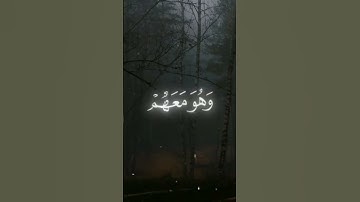 يستخفون من الناس ولا يستخفون من الله #سورة_النساء  #من_أجمل_تلاوات_القرآن_الكريم #قرآن #تلاوة_خاشعة