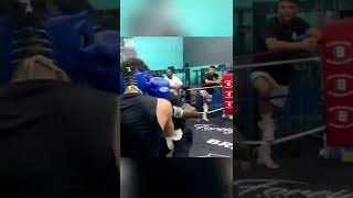 Alex Wassabi Leaked Sparring Footage #shorts