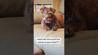 Whats The First Word That Comes To Your Mind??