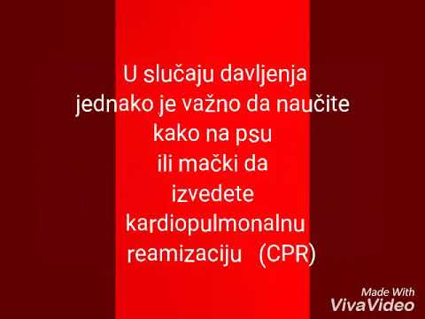 Loading video
