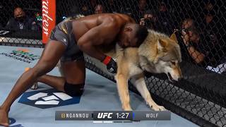 Francis Ngannou but he's fighting increasingly dangerous animals