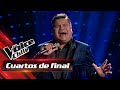 Dany lvarez  tu crcel  cuartos de final  the voice chile 2023