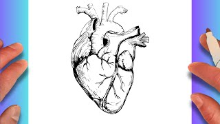 طريقة رسم قلب الانسان بالتفصيل بطريقة سهلة خطوة بخطوة