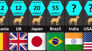 Countries with the Most Dogs