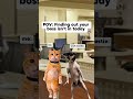 #workmeme #funnyvideos #viralvideo #workhumor #nurse