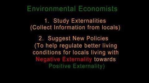 Externality on Environmental Economics