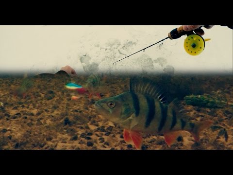 Зимняя Рыбалка 2017