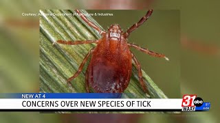 New invasive tick species confirmed in DeKalb County