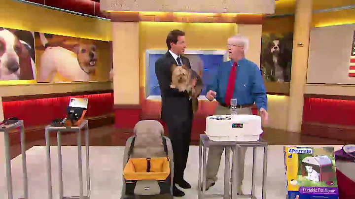 Your Dog Can Travel in Style