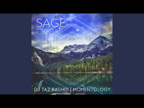 Watch Stadium Lights on YouTube Watch Stadium Lights on YouTube