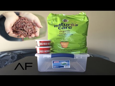 Video: How To Breed Worms At Home