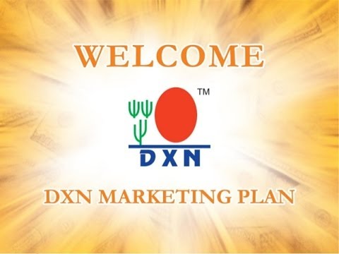 DXN Marketing Plan Hindi Version