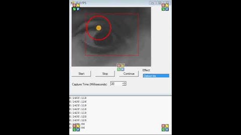 Pupil detection in a video