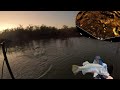 Overnight Barra Mission Went Better than Expected !!