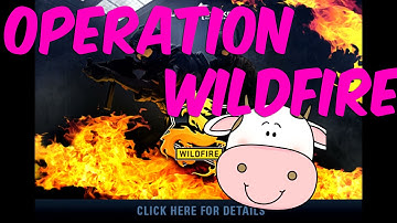 CS:GO | Operation Wildfire | Overview/Review | CS GO GIVEAWAY