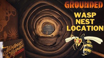 How To Unlock The Wasp Nest in Grounded | Wasp Nest Location | Disturb The Wasps Nest