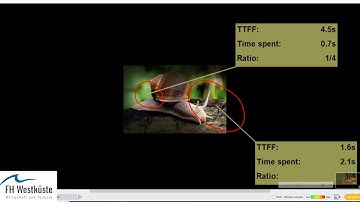 Auswertung eines Eyetracking  und Emotionstest mit iMotions