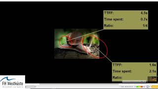 Auswertung eines Eyetracking  und Emotionstest mit iMotions