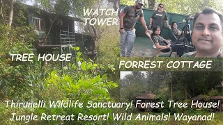 Thirunelli Wildlife Sanctuary! Forest Tree House! Jungle Retreat Resort! Wild Animals! Wayanad!