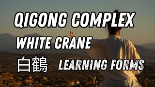 COMPLEX QIGONG White Crane. STUDYING FORMS screenshot 5