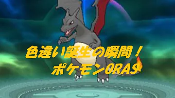 تحميل 国際孵化 Oras