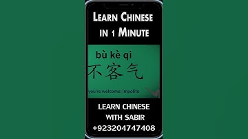 Learn Chinese in 1 Minute - ALL the Basics You Need - video 17