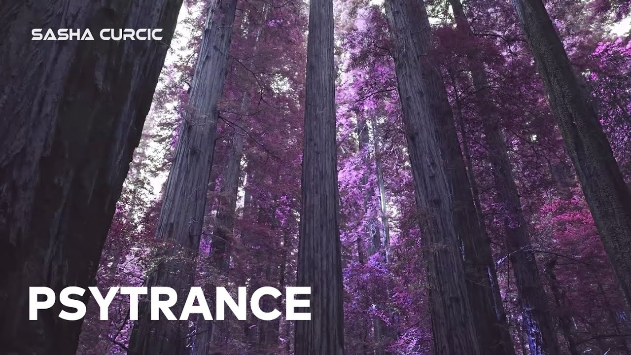 Sasha Curcic - PSYTRANCE Vol. 94