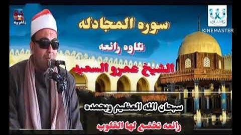 الشيخ عمرو السعيد قارئ جمهورية مصر العربية ماتيسر من سوره المجادله