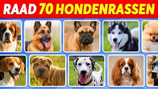 Raad 70 Hondenrassen in 5 Seconden | Makkelijk, Gemiddeld, Moeilijk, Onmogelijk screenshot 1