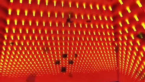 minecraft - testing minecraft tricks you aren’t using yet| minecraft animation