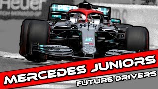 In todays video we will be taking a look at future mercedes f1
drivers. the driver academy has played host to rise of george russell
and esteban...