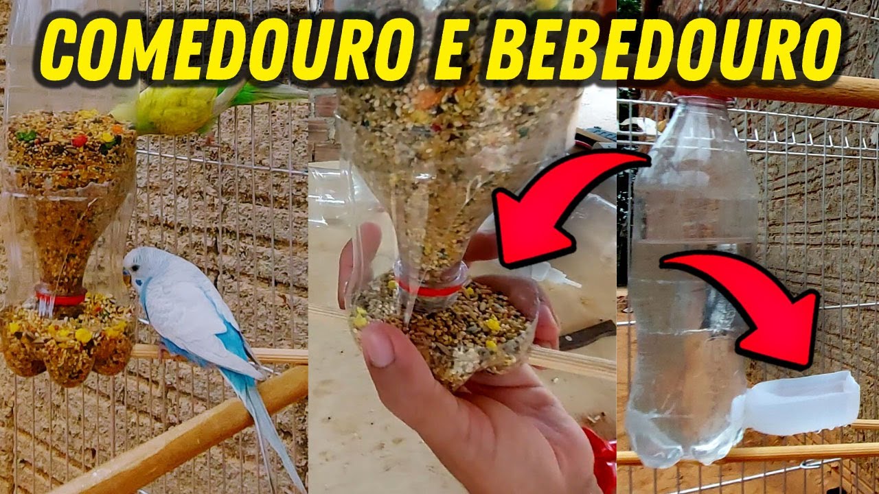 comedouro-para-passaros-bebedouro-para-passaros-com-garrafa-pet