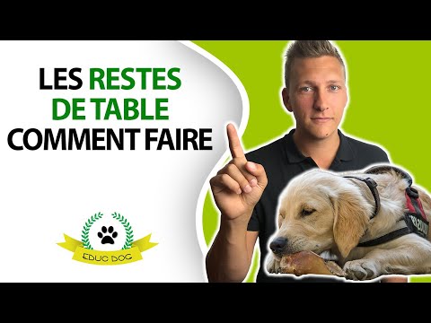 Vidéo: Pourquoi Vous Ne Devriez Pas Laisser Votre Chien Manger Des Restes De Table