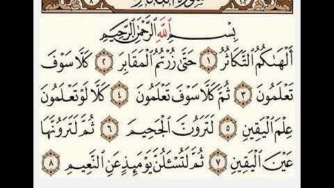 القارئ عبد الله المطرود _ سورة التكاثر (١٠٢)