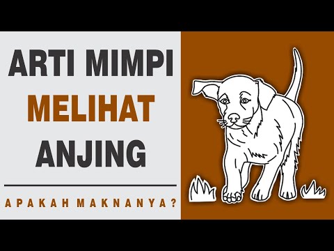 Video: 3 Cara Merawat Asid Perut pada Anjing