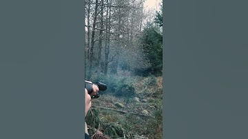 SWEDISH DRIVEN HUNT 3 - SOUTHERN HUNTING