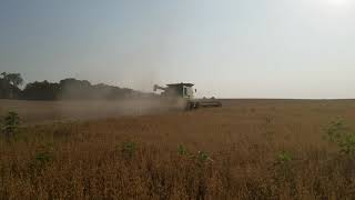 Rye harvest 2019