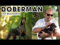 Best DOBERMAN Pinscher  - The Guard & Watch Dog Facts | Smartest Dog in the World | Baadal Bhandaari