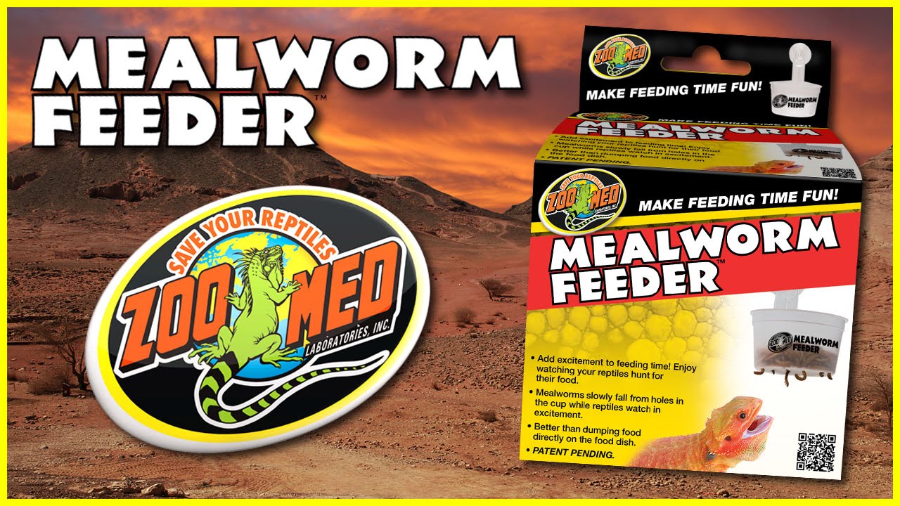 Zoo Med Mealworm Feeder™ - YouTube