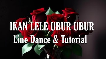 UBUR UBUR IKAN LELE - Line Dance