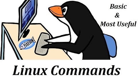 Linux Commands | Part 2